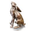 Richard Cooper Large Hare Moon Gazing Bronze Sculpture additional 1