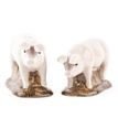 Quail Ceramics British Lop Pig Salt and Pepper Set additional 1