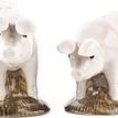 Quail Ceramics British Lop Pig Salt &amp; Pepper Pots additional 1