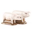 Quail Ceramics British Lop Pig Salt and Pepper Set additional 2