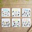 Sarah Edmonds Set of 6 Bird Pun Coasters additional 9