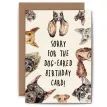 Dog Eared Funny Everyday Dog Card additional 2