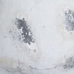 Naxos Large Antique White Vase additional 2