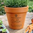 Personalised Pet Memorial Terracotta Plant Pot additional 4