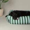 Scruffs Amalfi Striped Box Dog Bed - Green additional 3