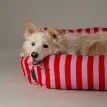 Scruffs Amalfi Striped Box Dog Bed - Pink additional 6