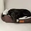 Scruffs Wilton Box Dog Bed - Chocolate Brown additional 3