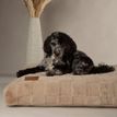 Scruffs Oxford Orthopaedic Dog Mattress - Camel additional 2