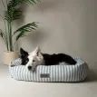Scruffs Coastal Box Dog Bed - Blue additional 1