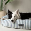 Scruffs Coastal Box Dog Bed - Blue additional 7