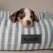 Scruffs Coastal Box Dog Bed - Blue additional 4