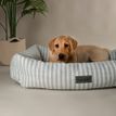 Scruffs Coastal Box Dog Bed - Green additional 6