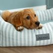 Scruffs Coastal Box Dog Bed - Green additional 5