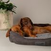 Scruffs Cosy Soft-Walled Dog Bed - Grey additional 3
