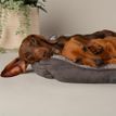 Scruffs Cosy Soft-Walled Dog Bed - Grey additional 5