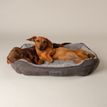 Scruffs Cosy Soft-Walled Dog Bed - Grey additional 1