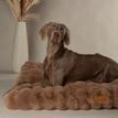 Scruffs Alpine Dog Mattress - Taupe additional 6