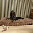 Scruffs Alpine Dog Mattress - Taupe additional 4