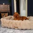 Scruffs Alpine Box Dog Bed - Champagne additional 5