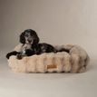 Scruffs Alpine Box Dog Bed - Champagne additional 1