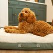 Scruffs Eden 100% Recycled Pillow Dog Bed - Sage Green additional 4