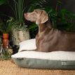 Scruffs Eden 100% Recycled Pillow Dog Bed - Sage Green additional 2