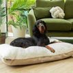 Scruffs Eden 100% Recycled Pillow Dog Bed - Cream additional 3