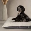 Scruffs Eden 100% Recycled Pillow Dog Bed - Charcoal Grey additional 4