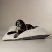 Scruffs Eden 100% Recycled Pillow Dog Bed - Charcoal Grey additional 1