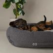 Scruffs Eden 100% Recycled Box Dog Bed - Charcoal Grey additional 3