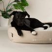 Scruffs Eden 100% Recycled Box Dog Bed - Cream additional 5