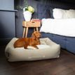 Scruffs Eden 100% Recycled Box Dog Bed - Cream additional 2