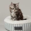 Scruffs Coastal Cat Bed - Green additional 2