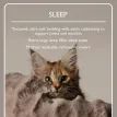 Scruffs Alpine Colorado Cat Tree - Cream additional 11
