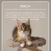 Scruffs Alpine Colorado Cat Tree - Cream additional 7