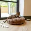 Scruffs Alpine Cat Bed - Taupe additional 3