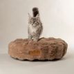 Scruffs Alpine Cat Bed - Taupe additional 1