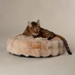 Scruffs Alpine Cat Bed - Champagne additional 1