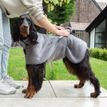 Scruffs Expedition Deluxe Noodle &amp; Microfibre Dog Drying Coat - Storm Grey additional 7
