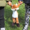 Jomanda Fox Plush Soft Toy 20cm additional 8