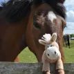 Jomanda Pony Plush Soft Toy 20cm additional 8