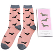 Mr Sparrow Men's Little Sausage Dog Matchbox Socks additional 3