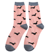 Mr Sparrow Men's Little Sausage Dog Matchbox Socks additional 2