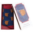 Mr Sparrow Men's Highland Herd Matchbox Socks additional 1