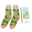 Miss Sparrow Women's Highland Sheep Matchbox Socks additional 2