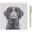 Black Labrador Memo Notepad additional 1