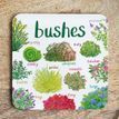Sarah Edmonds Bushes Coaster additional 1