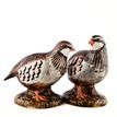Quail Ceramics Partridge Salt and Pepper Set additional 3