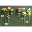 The Bouquet in a Book Flower Papercraft Kit additional 4