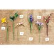 The Bouquet in a Book - Spring Flowers Papercraft Kit additional 8